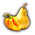 Habanero Yellow